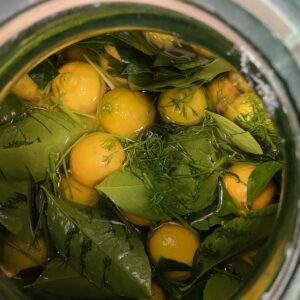 Vermouth Robert Gamote - La Funambule, vermouth artisanal marseillais à la bergamote