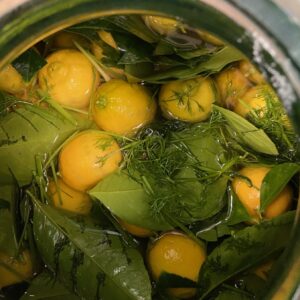 Bergamotes en bocal pour la cuvée Robert Gamote, vermouth artisanal La Funambule à Marseille