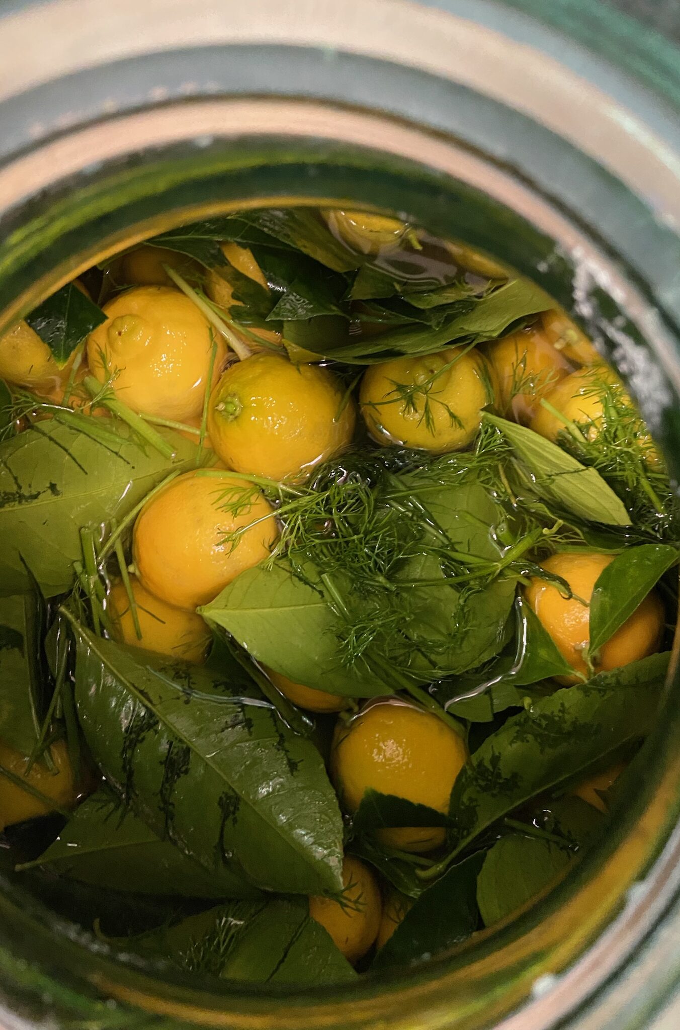 Bergamotes en bocal pour la cuvée Robert Gamote, vermouth artisanal La Funambule à Marseille